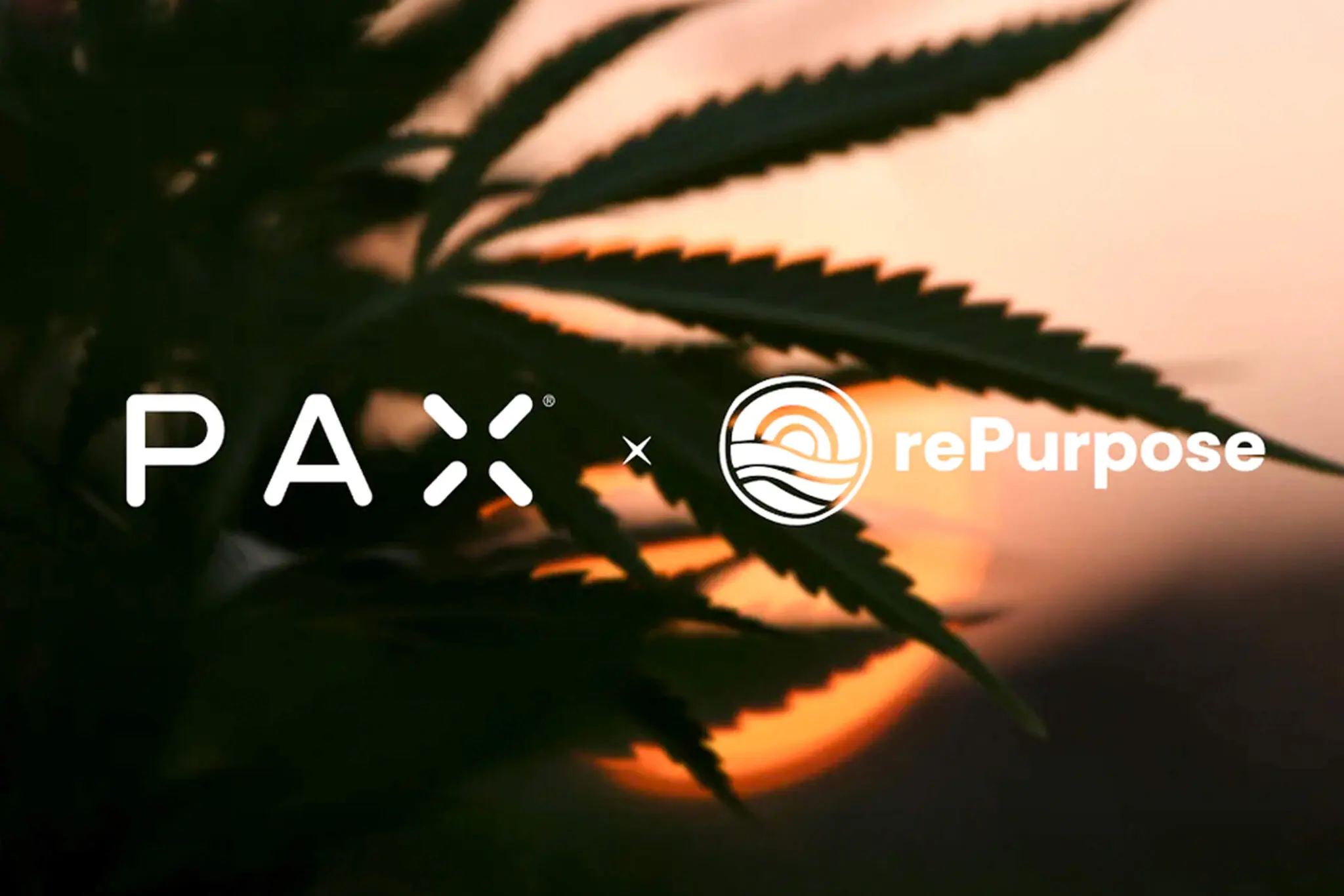 Plastic Negative Product Lineupn - PAX cannabis products
