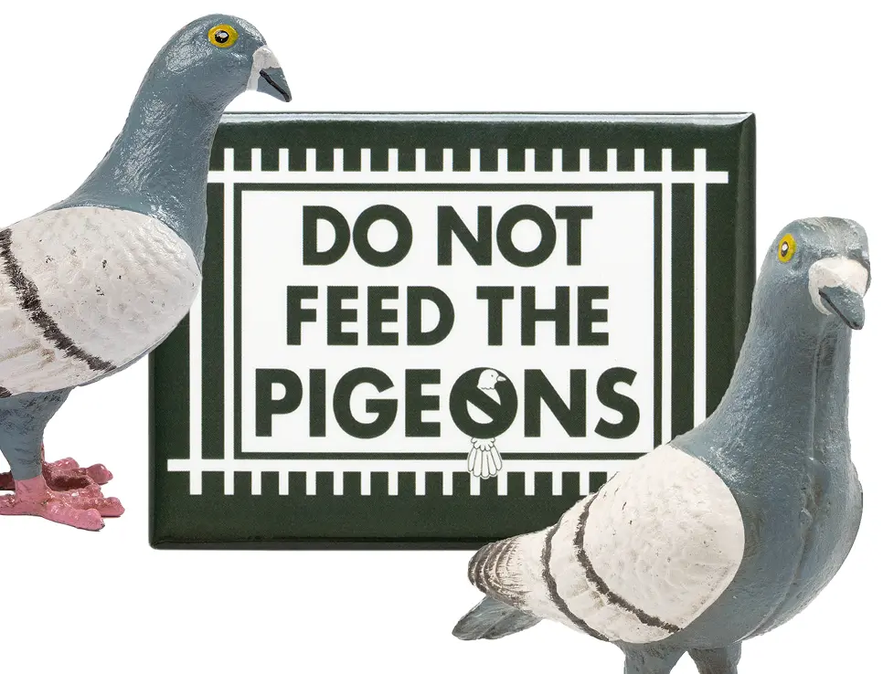 Do Not Feed The Pigeons - The Travel Agency x OnlyNY collaboration