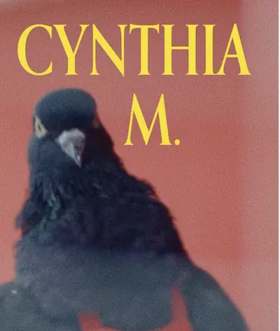 Cynthia M. the pigeon