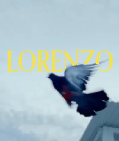 Lorenzo the pigeon