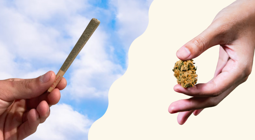 Pre-rolls vs. Flower: What’s Your Style?